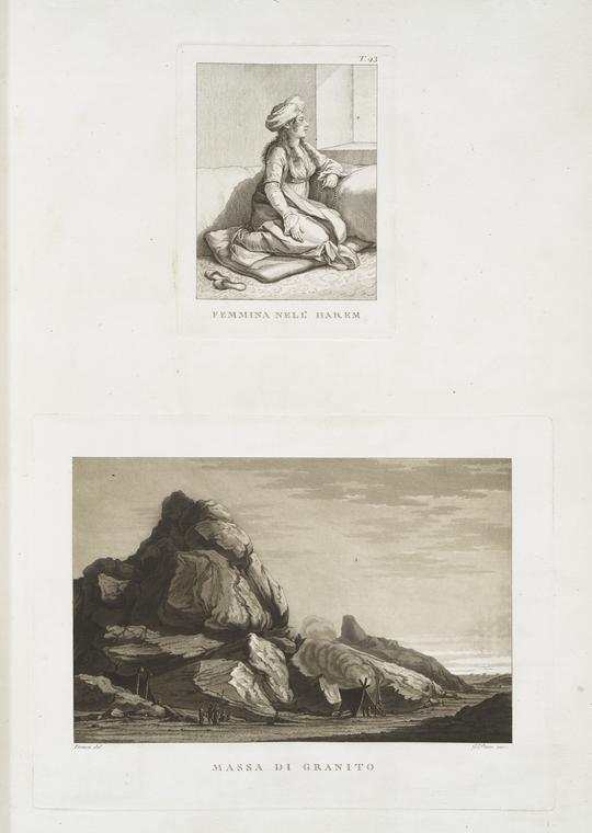 Femmina dell' Harem; Massa di  granito.