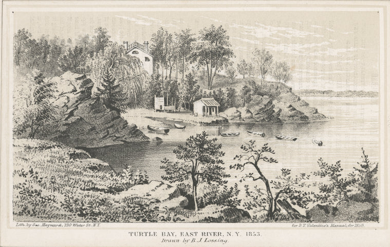 Turtle Bay, East River, N.Y. 1853