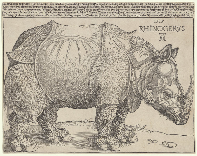 The Rhinoceros