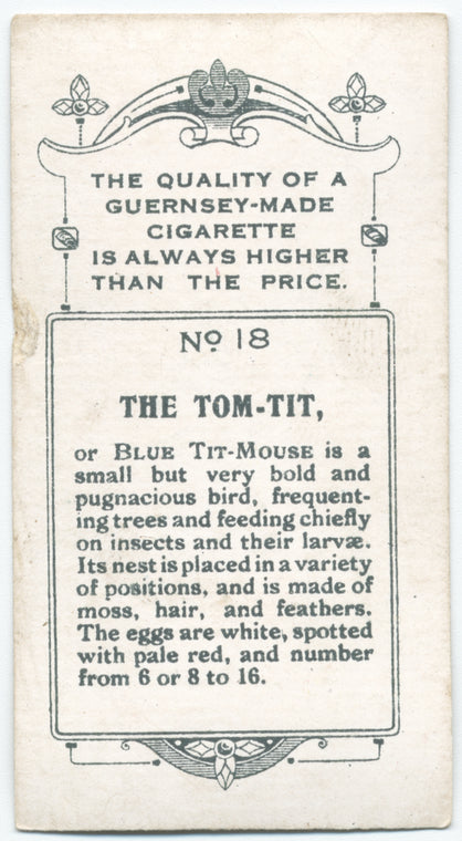 The tom-tit.