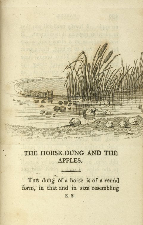 The horse-dung and the apples