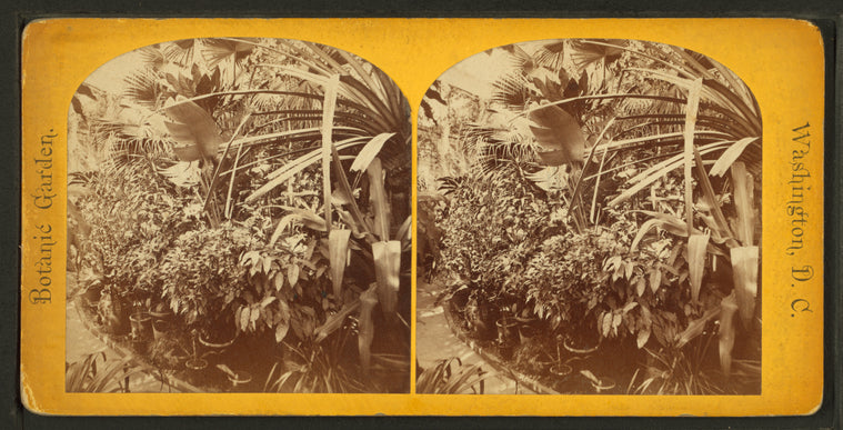 Botanic Gardens, Washington, D.C.