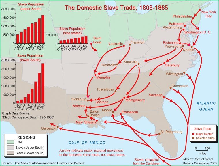 The Domestic Slave Trade 1808-1865