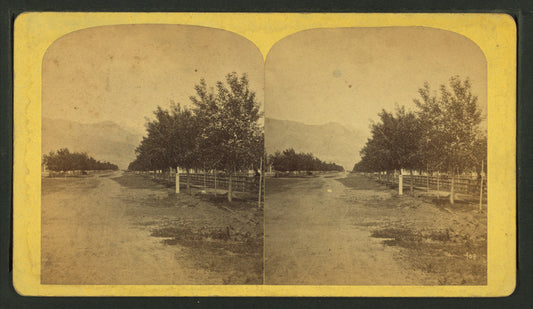 Colorado Springs.