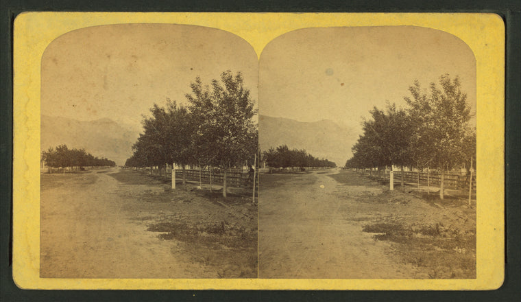 Colorado Springs.