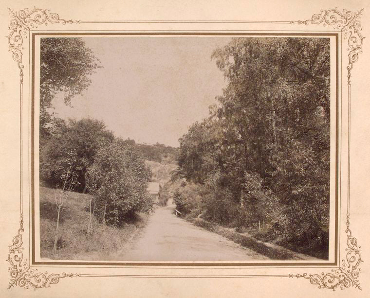 Garden in the monastery