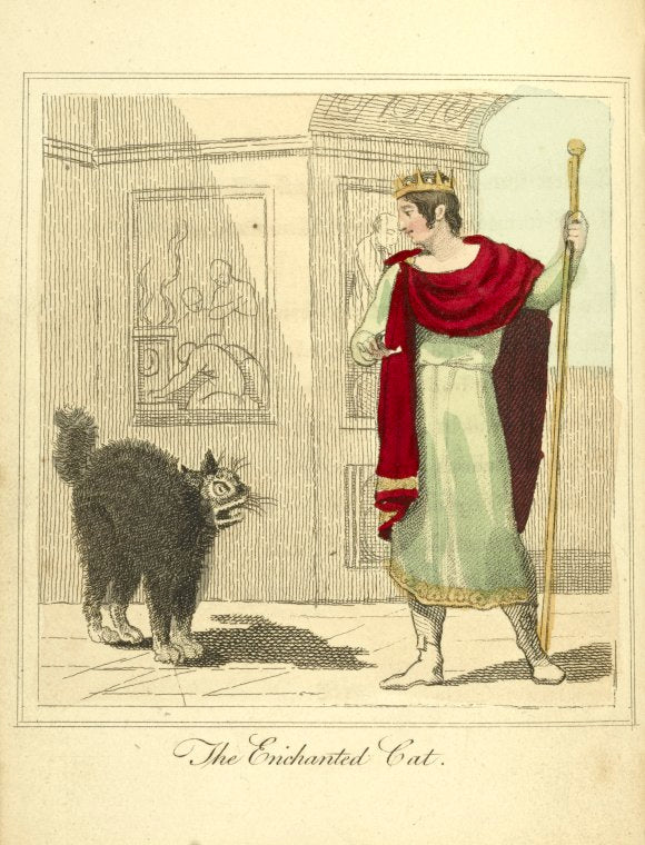 The enchanted cat