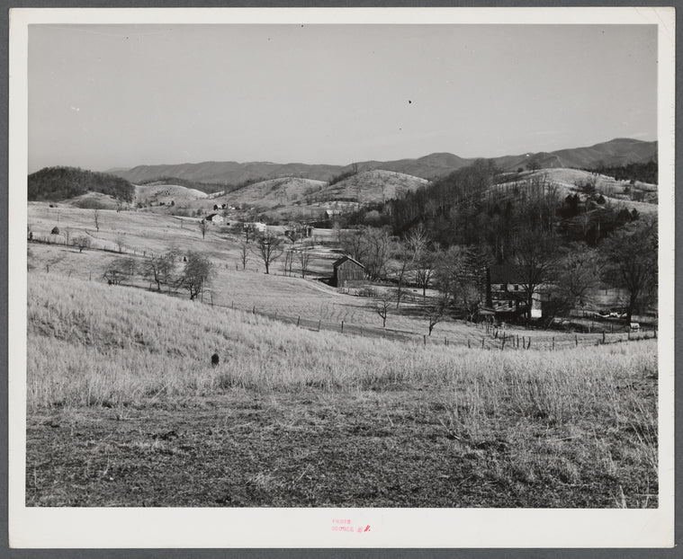 The fertile Shenandoah in the fall. Virginia.