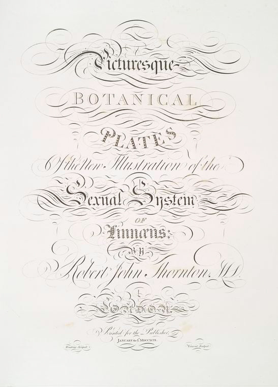 Picturesque botanical plates...