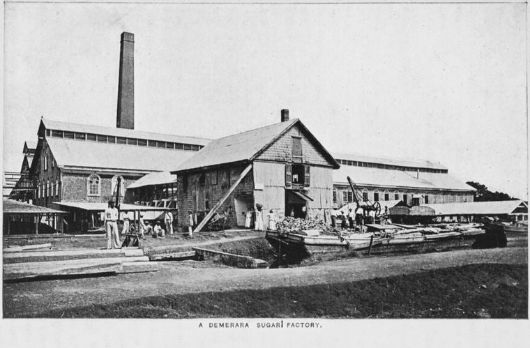 A Demerara sugar factory.