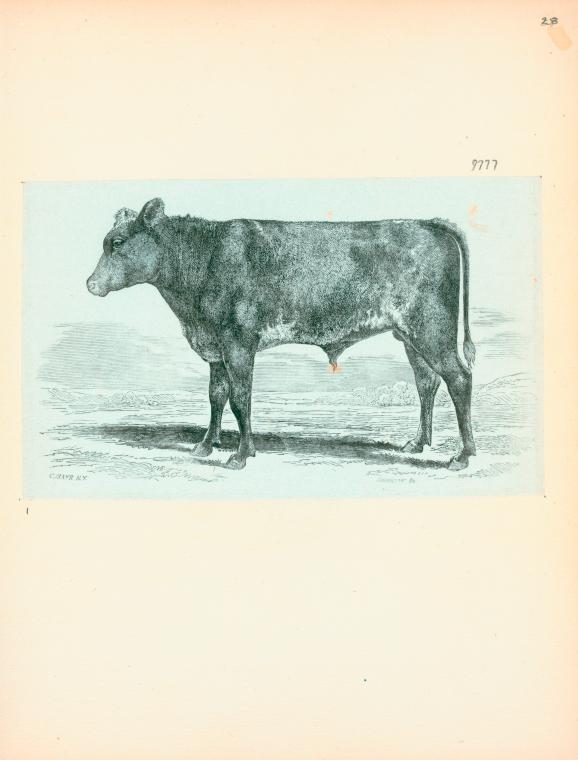 Volume 1, p.28