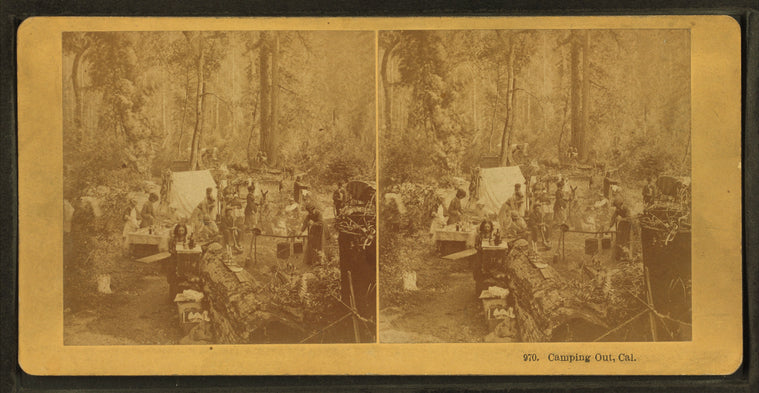 Camping Out, California. [no. 970]