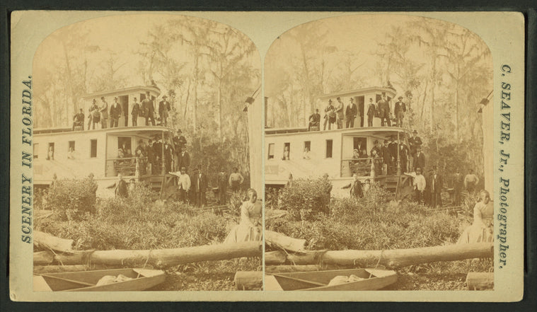 View of a steamboat moored at a river bank.