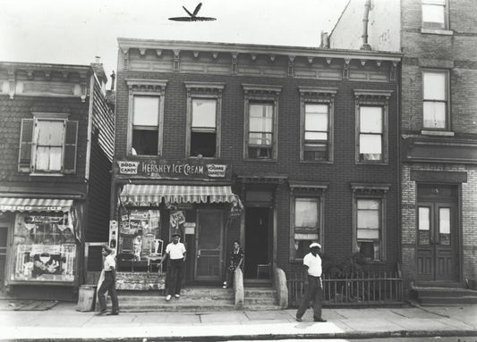 113 Rochester Ave., Brooklyn, New York