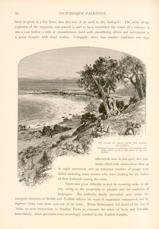 The plain of 'Akka from the slopes of Carmel. Showing the grove of palm-trees which extends from Haifa nearly as far as the river Kishon.