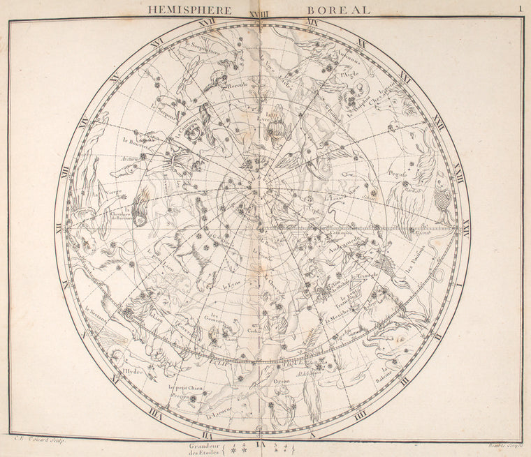Hemisphere boreal.