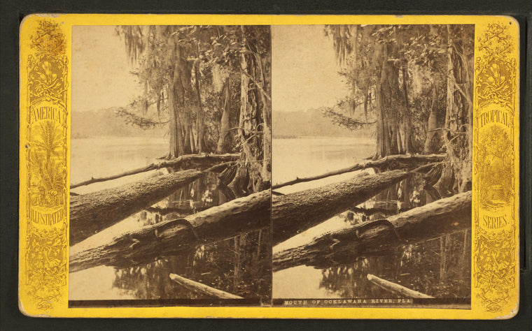 Mouth of Ocklawaha River, Fla.