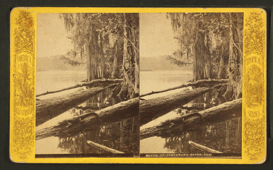 Mouth of Ocklawaha River, Fla.