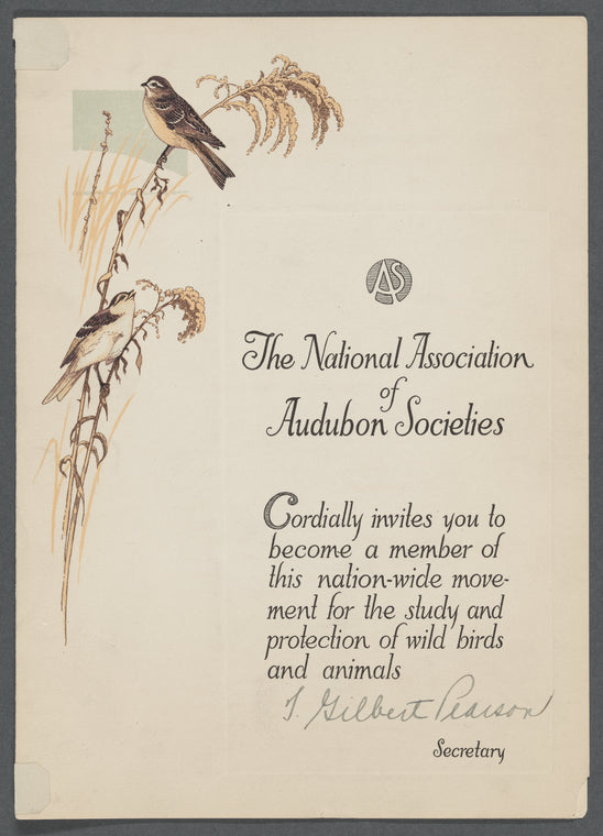 The National Association of Audubon Societies membership invitation