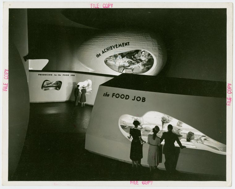 Food - Focal Exhibit - Visitors looking at exhibit