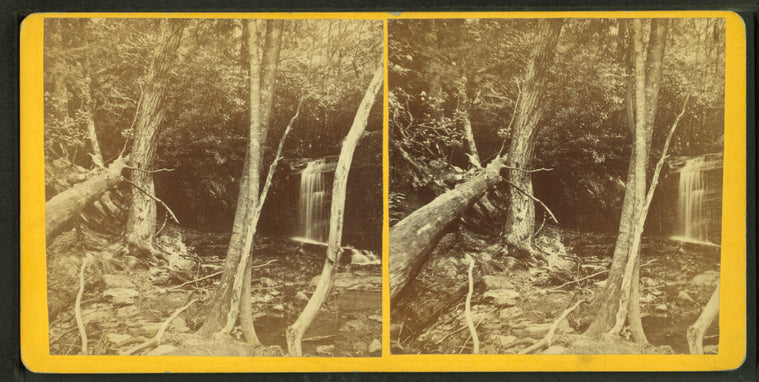 Caldeno Falls, Pike Co., Pa.