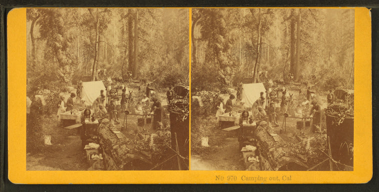 Camping Out, California. [no. 970]