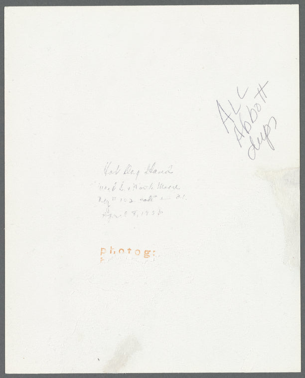 Hot Dog Stand, West St. and North Moore