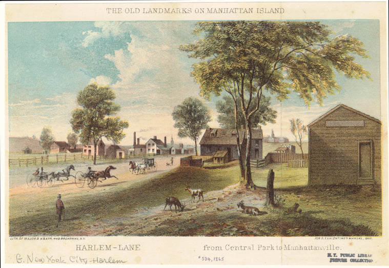 Harlem-lane from Central Park to Manhattanville