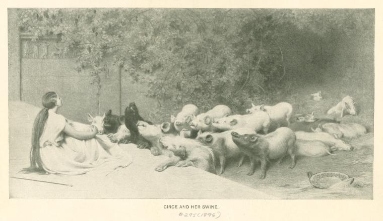 Circe and her swine