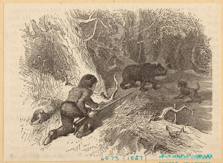 Bear hunting