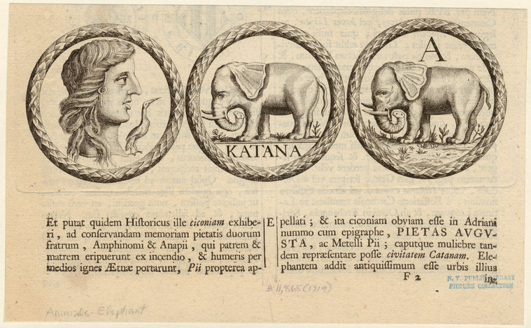 Coins, or medals, with designs of a woman's profile and elephants