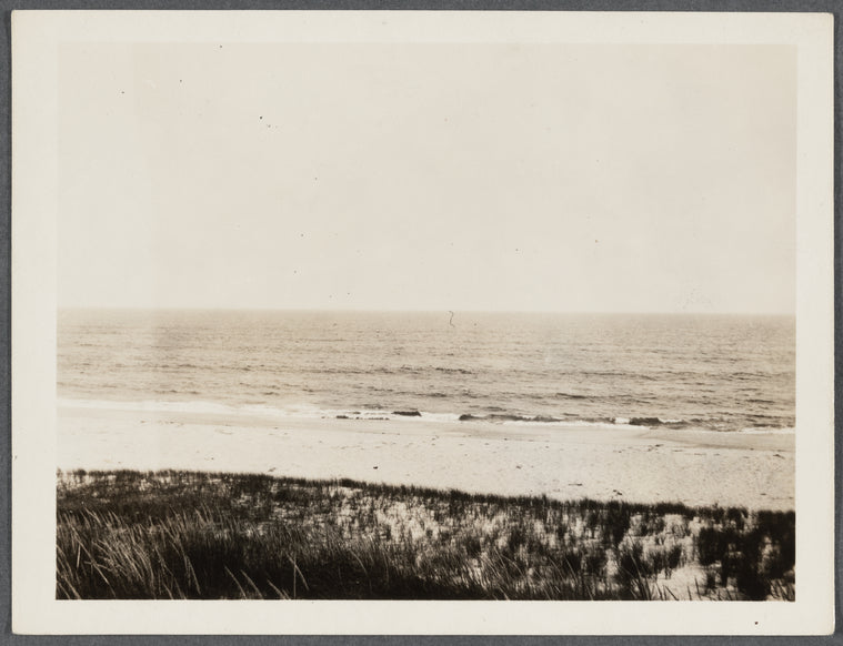 View. East Hampton Beach. Sand Dunes. Surf at the beach. East Hampton, East Hampton