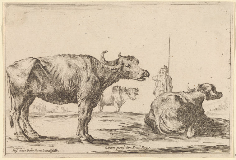 Le pâtre et les buffles