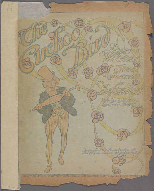 The cuckoo bird