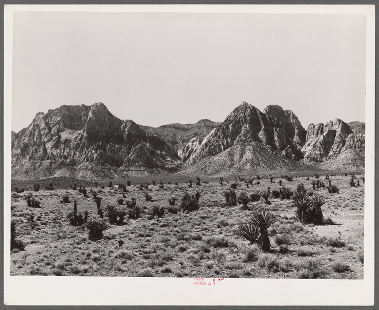 Approach to Pine Creek Canyon. Clark County, Nevada