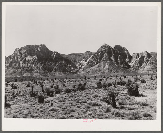 Approach to Pine Creek Canyon. Clark County, Nevada