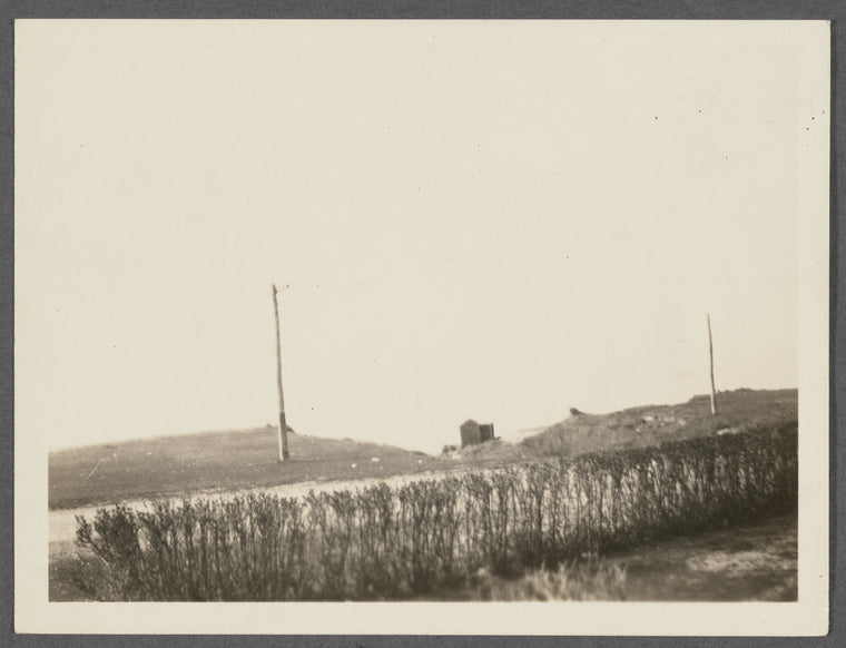 View. Hither Plains. Montauk, East Hampton