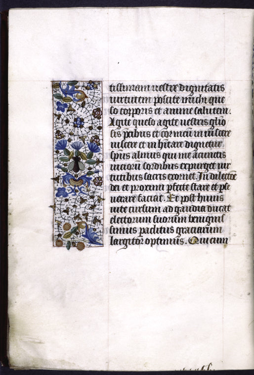 Page of text