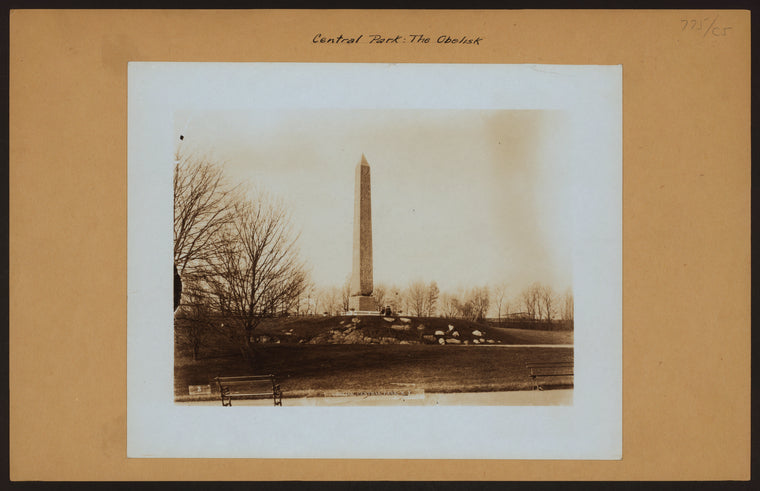 General view - Manhattan - Central Park - The Obelisk.