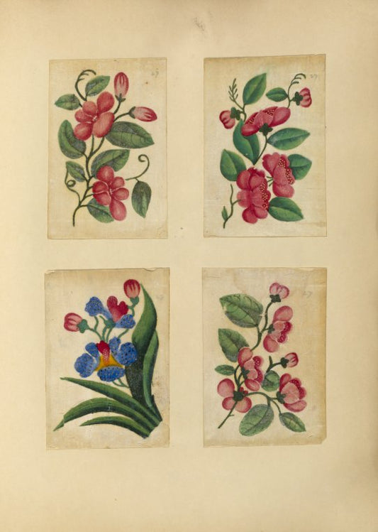 Flowers ; Flowers ; Flowers ; Flowers