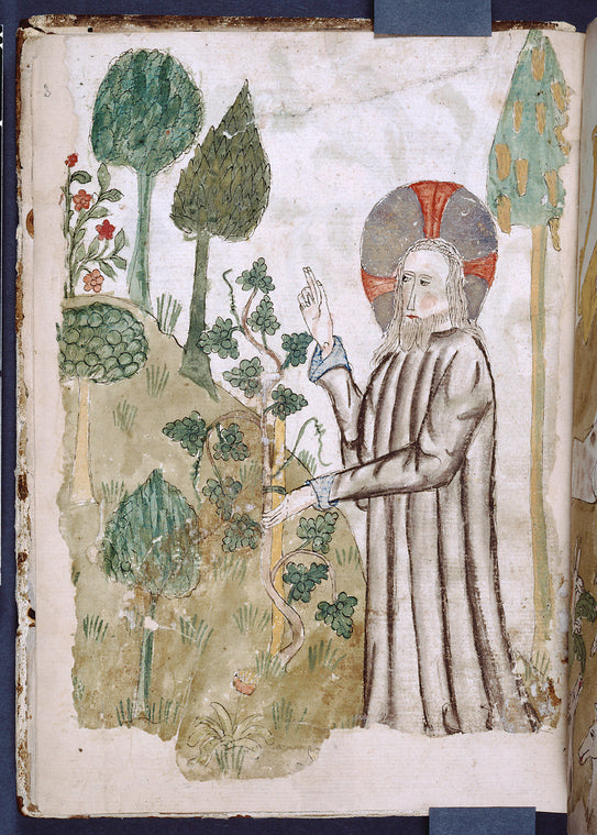 Full-page miniature of God creating flowers and plants