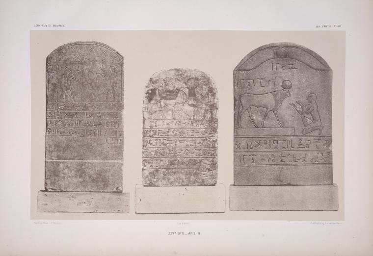 XXVe dyn[astie]: Apis II