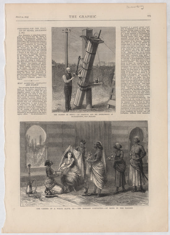The Career of a white slave III