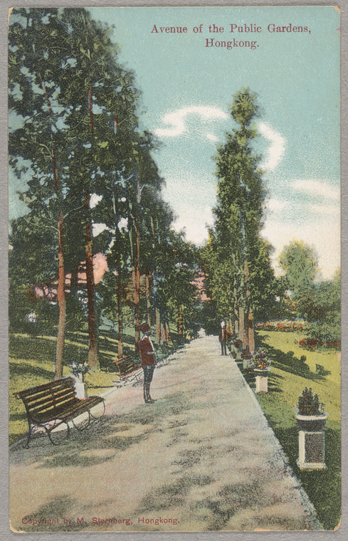 Avenue of the Public Gardens, Hongkong