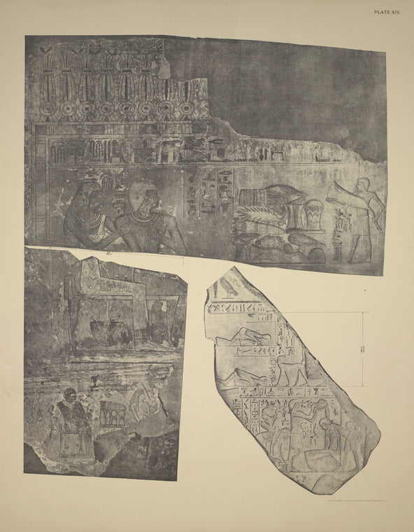 Renni's father and mother, Sebekhetep and Aahmes, seated before a table of offerings. ... His son, the scribe Zehutimes, a butcher of the temple, is bringing the leg of an ox to the place on the table of offerings. ...