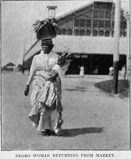 Negro woman returning from market.