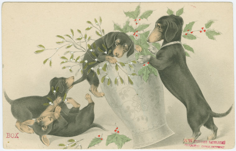 Dogs playing with vase of mistletoe and holly.