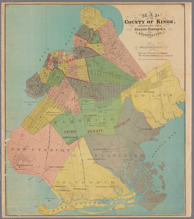 Map of the county of Kings, showing the Senate districts, October 1869