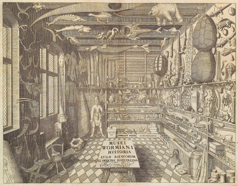Museum Wormianum
