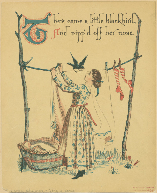 There came a little blackbird, and nipp'd off her nose.